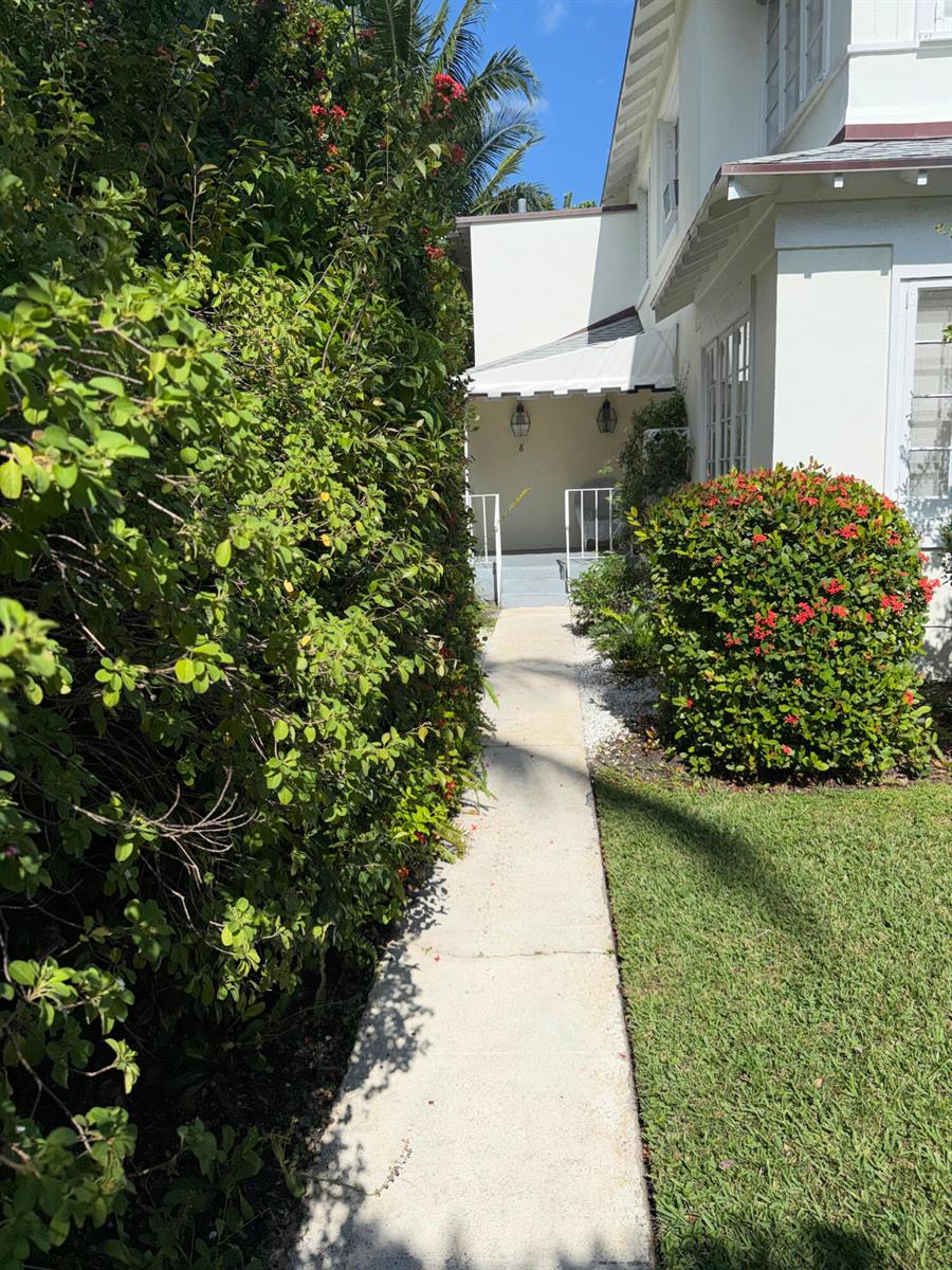 A concrete walkway leads toward a white building entrance framed by lush green hedges — 301 Chilean Avenue # 0080, Palm Beach FL 33480, PALM BEACH, FL