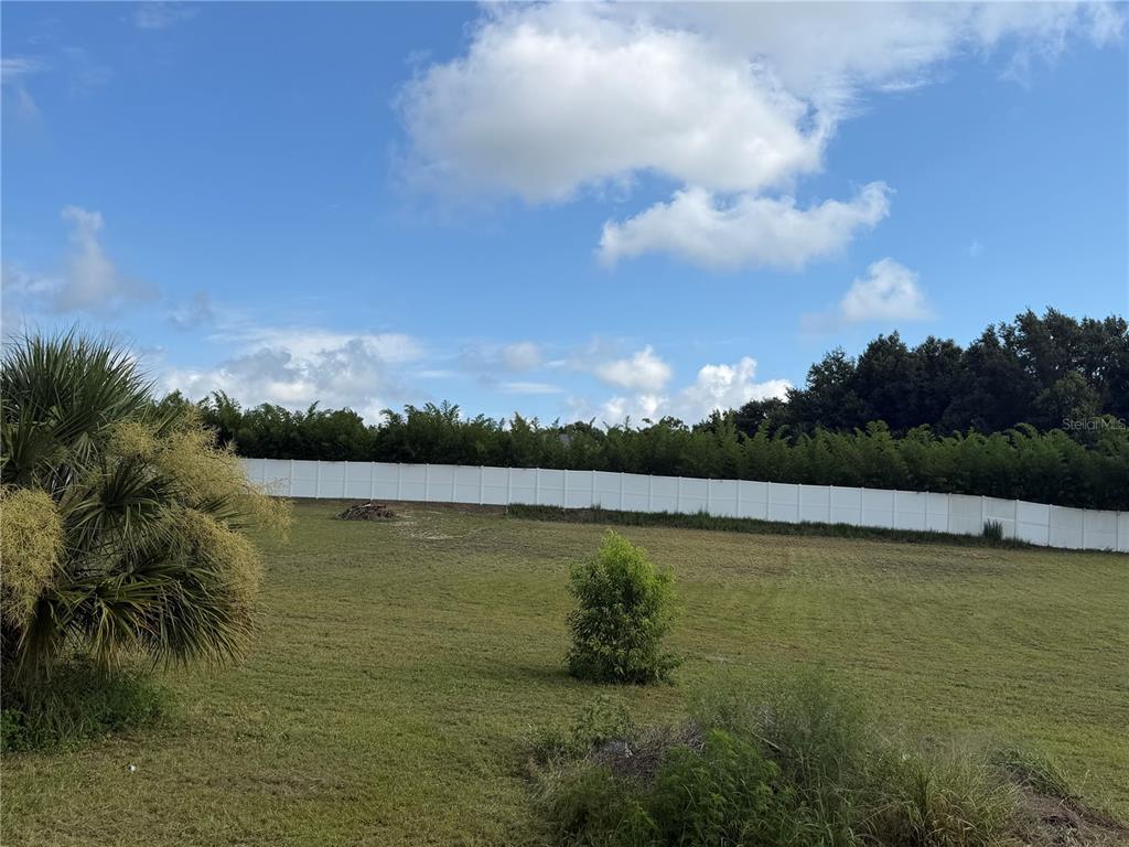 A grassy backyard features a white privacy fence and a large palm tree — 0 NORTH BLVD W, DAVENPORT, FL