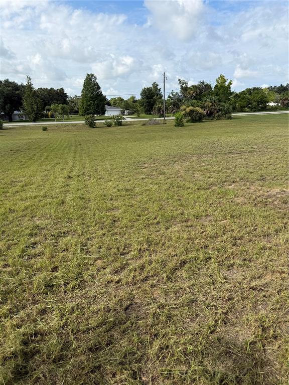A wide, grassy vacant lot features scattered trees and a utility pole under a cloudy sky — 0 NORTH BLVD W, DAVENPORT, FL