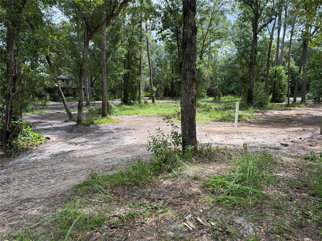 A wooded, cleared residential lot features sandy ground and several mature trees — TBD, WALDO, FL