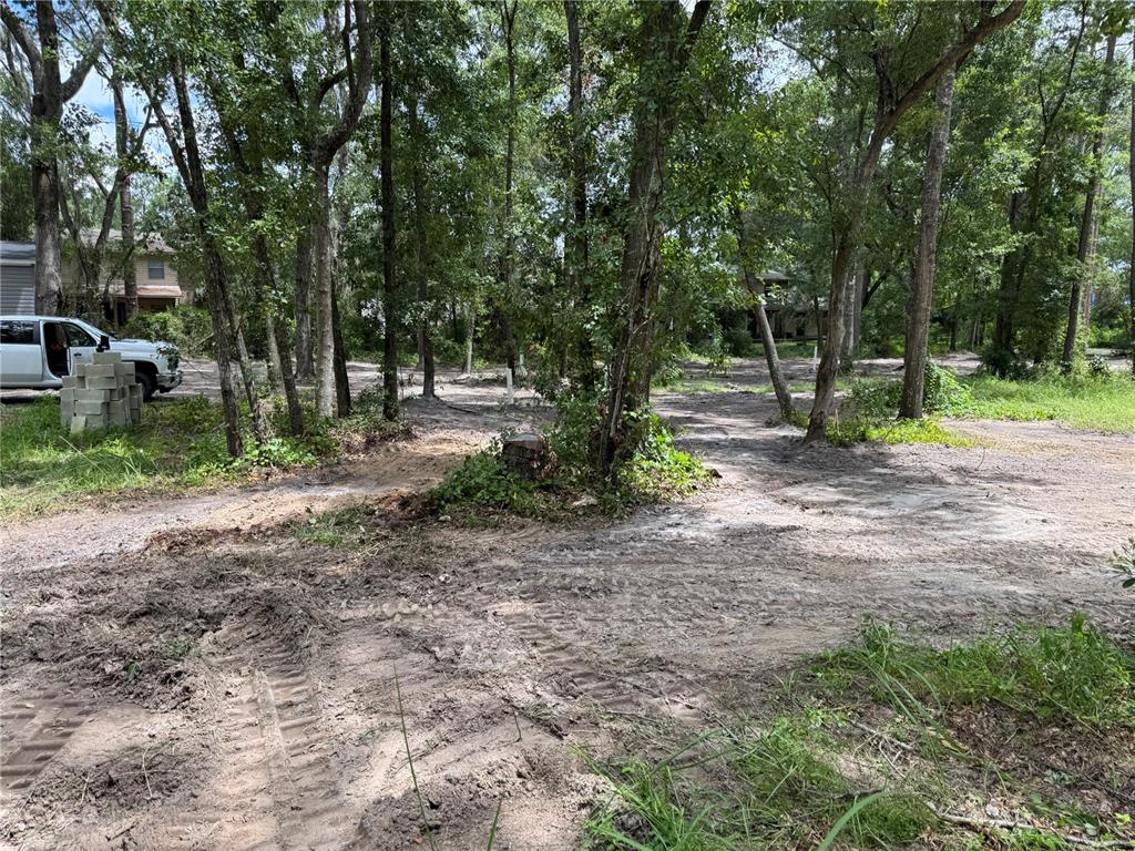 A wooded residential lot with tire tracks in the dirt and a white truck parked — TBD, WALDO, FL