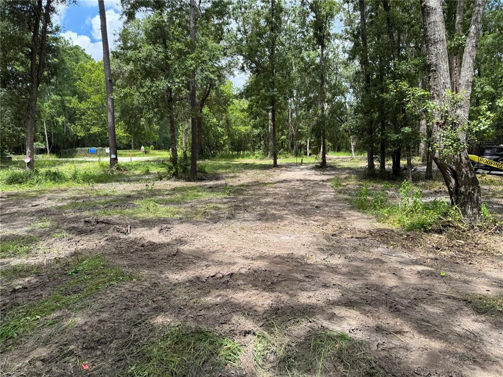 A cleared, dirt-covered lot is surrounded by dense trees and vegetation — TBD, WALDO, FL