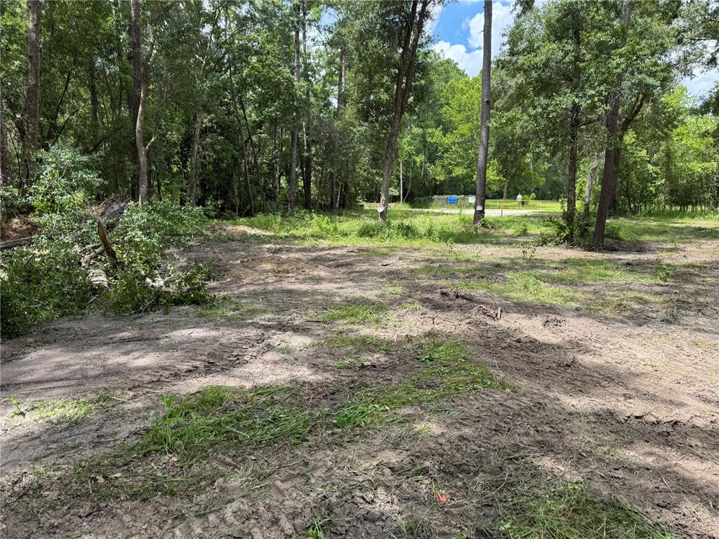A cleared, muddy lot with scattered trees and vegetation under a partly cloudy sky — TBD, WALDO, FL