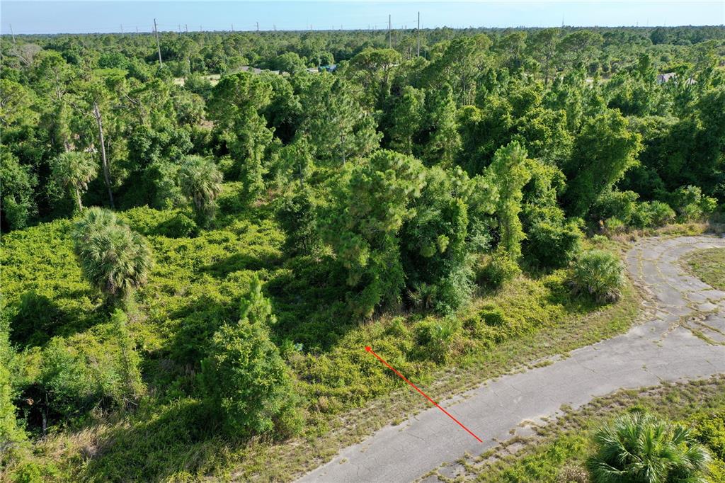 TWISDALE CIRCLE, NORTH PORT, FL — photo 2 of 22
