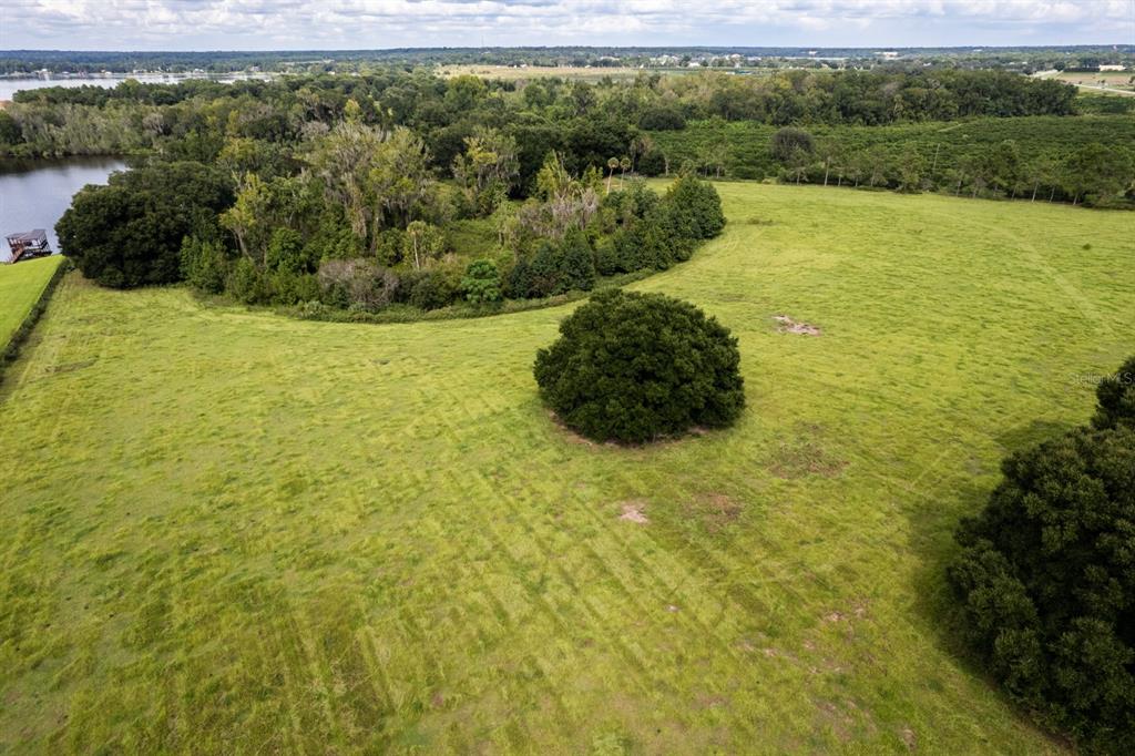 An aerial view shows a large, grassy field with a single tree and surrounding woods — 17931 COUNTY ROAD 448, MOUNT DORA, FL