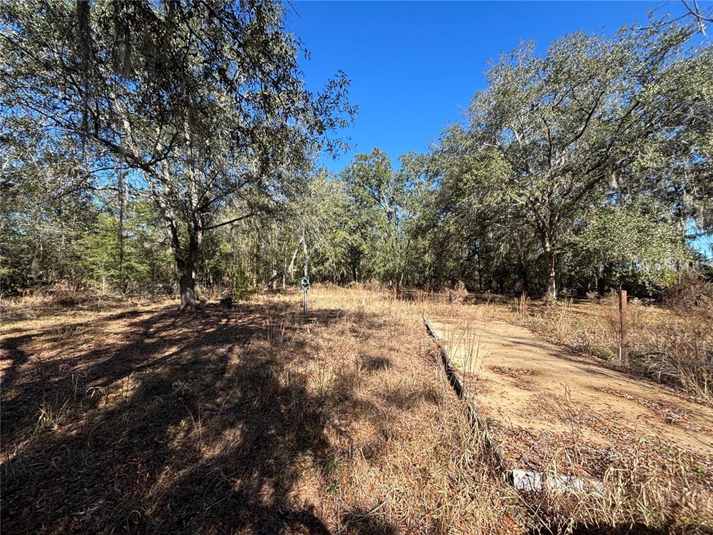 A wooded lot features a concrete pad surrounded by dry grass and mature trees — 1077 NW HAMP FARMER ROAD, LAKE CITY, FL