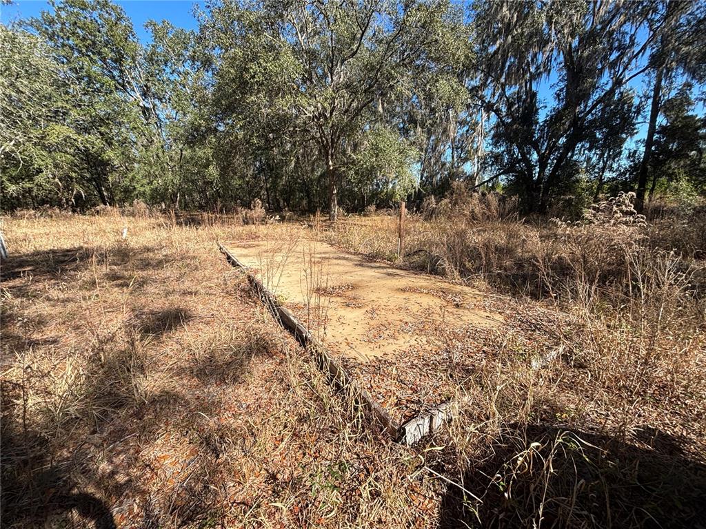 A rectangular concrete slab sits in a field of dry grass and trees — 1077 NW HAMP FARMER ROAD, LAKE CITY, FL