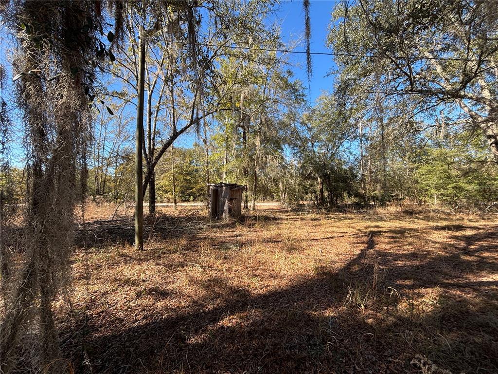 A small, weathered wooden shed stands in a wooded lot covered in dry leaves — 1077 NW HAMP FARMER ROAD, LAKE CITY, FL