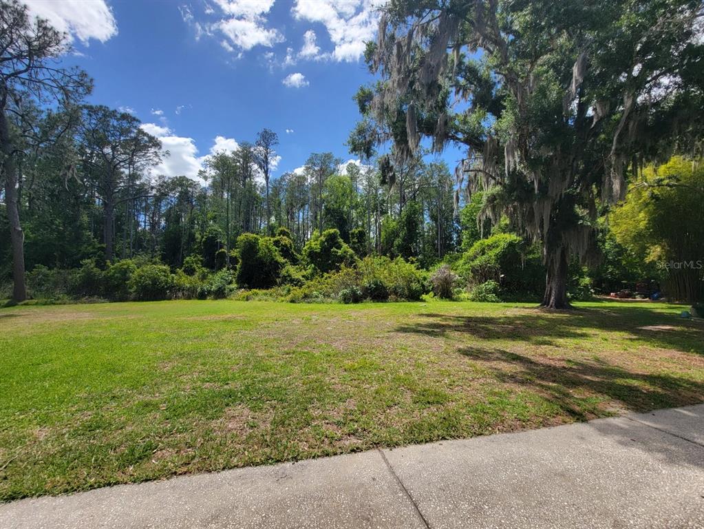 A grassy, open lot is bordered by a dense forest and a large oak tree — 1761 CUPECOY CIRCLE UNIT # N-7, LUTZ, FL