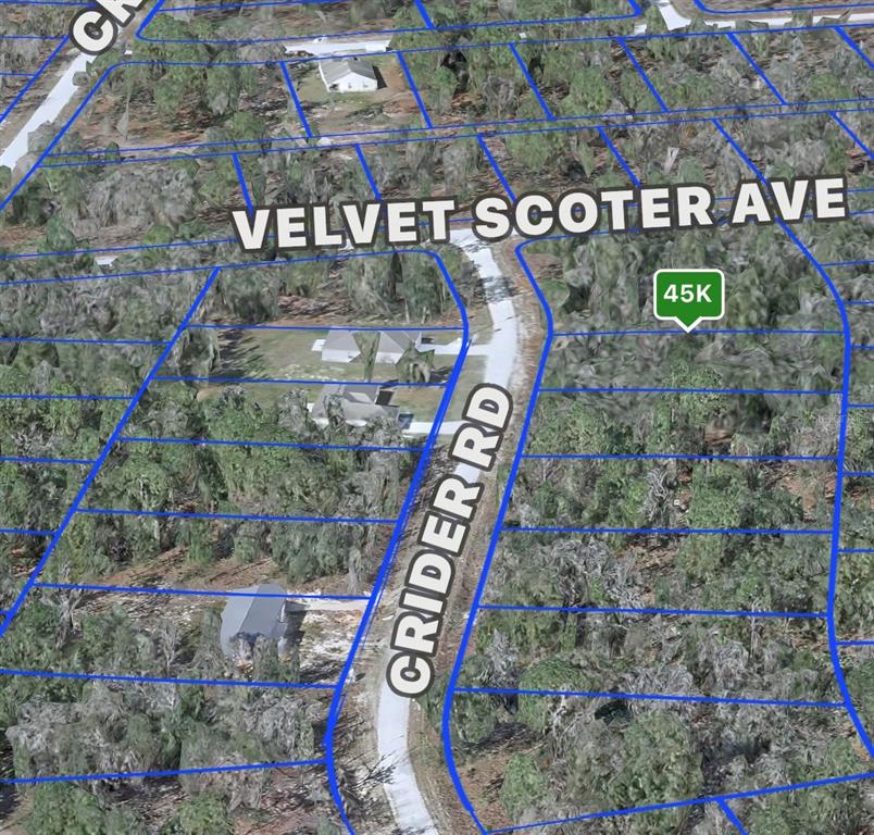 An aerial map view shows a wooded residential area with outlined property lots and roads — CRIDER ROAD UNIT 3, WEEKI WACHEE, FL