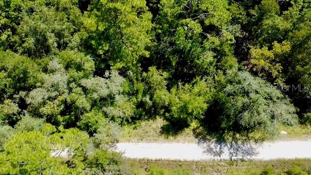 0 NE 138TH TERRACE, WILLISTON, FL — photo 2 of 14