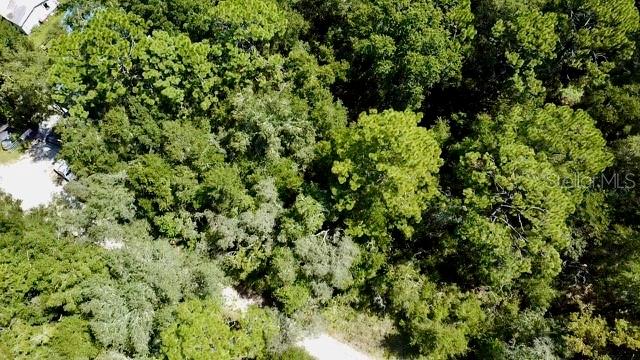 0 NE 138TH TERRACE, WILLISTON, FL — photo 3 of 14