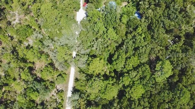 0 NE 138TH TERRACE, WILLISTON, FL — photo 4 of 14