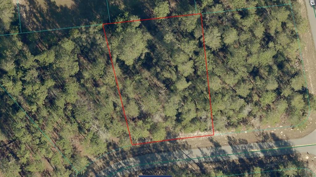 An aerial view shows a rectangular, wooded plot of land outlined in red — 17700 SW 35TH TERRACE ROAD, OCALA, FL