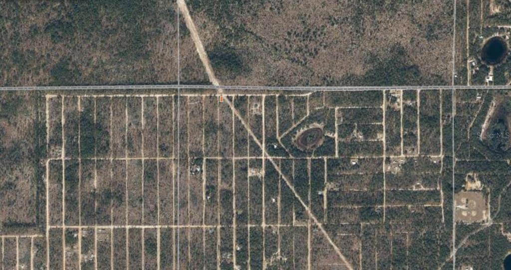 This aerial map shows a vacant rectangular lot highlighted within a rural, wooded residential grid — 04-10-24-9035-0050-0020 LEMON STREET, INTERLACHEN, FL