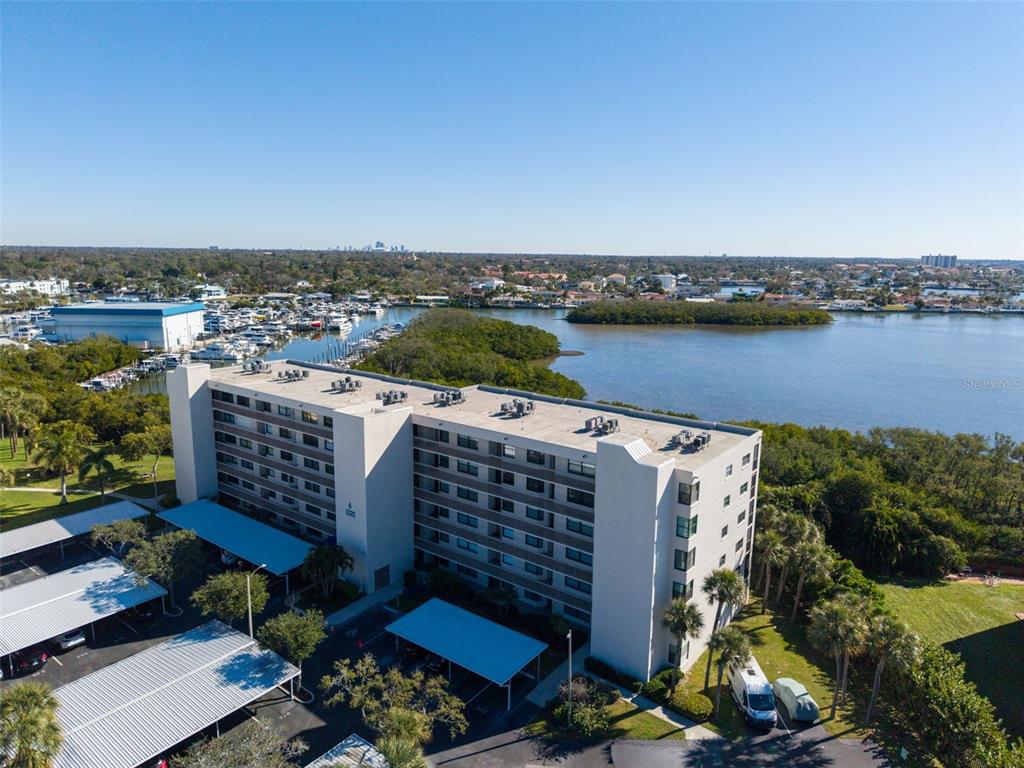 1332 PASADENA AVENUE S UNIT 205