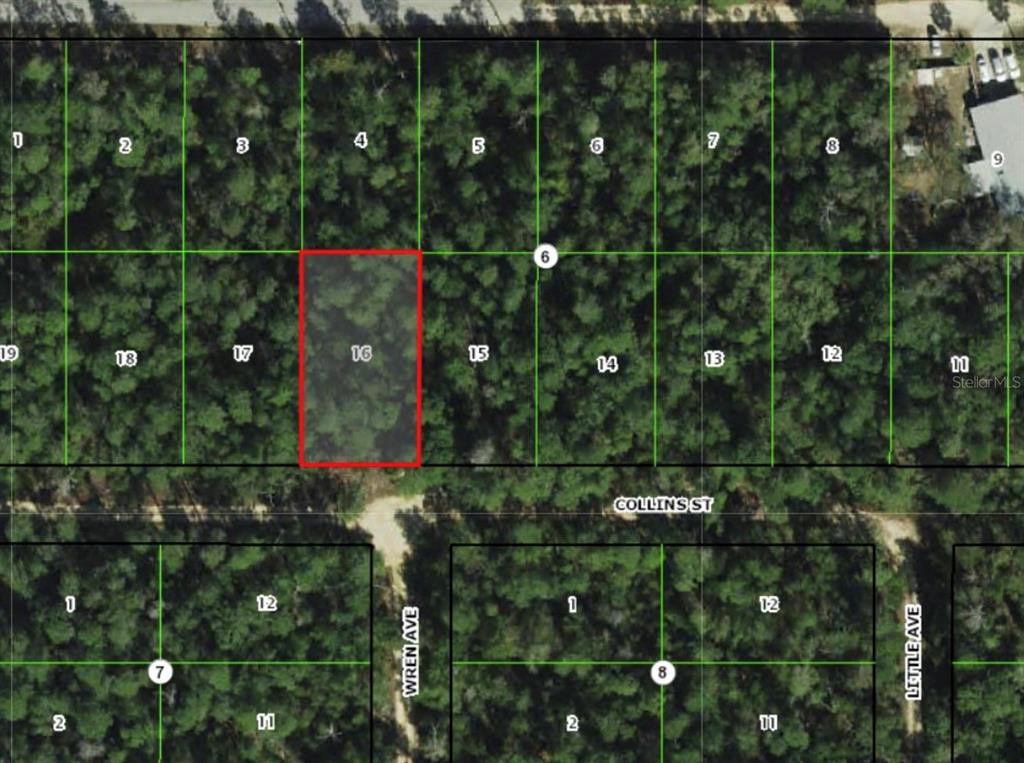 This is an aerial map showing a highlighted rectangular plot of land on a street — 2912 COLLINS STREET, INVERNESS, FL