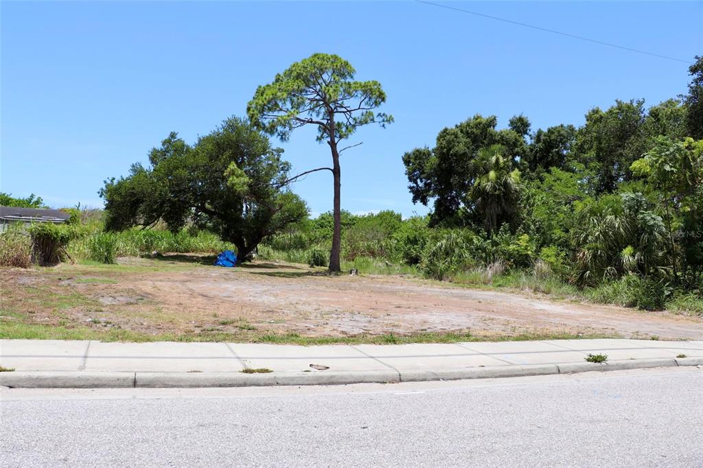 A vacant, cleared lot features a sidewalk in the foreground and several mature trees — 0 MANGO AVENUE, SARASOTA, FL