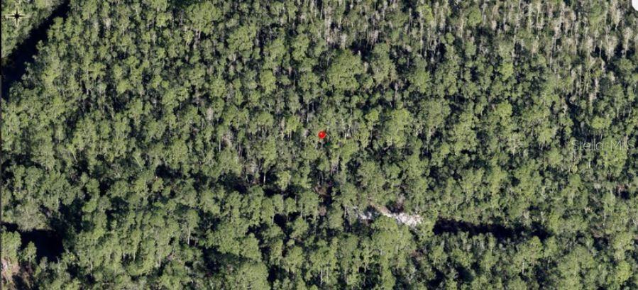 An aerial view shows a dense, wooded plot of land marked with a red dot — HOLOPAW GROVES ROAD, ST CLOUD, FL