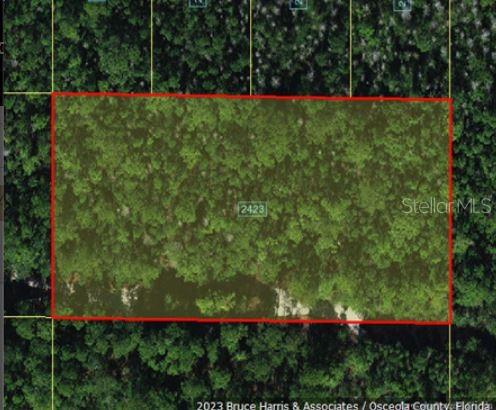 An aerial map view shows a rectangular plot of land outlined in red among trees — HOLOPAW GROVES ROAD, ST CLOUD, FL