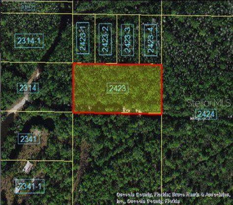 This is an aerial map showing a highlighted rectangular land parcel in a wooded area — HOLOPAW GROVES ROAD, ST CLOUD, FL