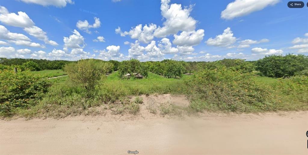 A dirt road runs in front of a grassy field with scattered citrus trees — HOLOPAW GROVES ROAD, ST CLOUD, FL