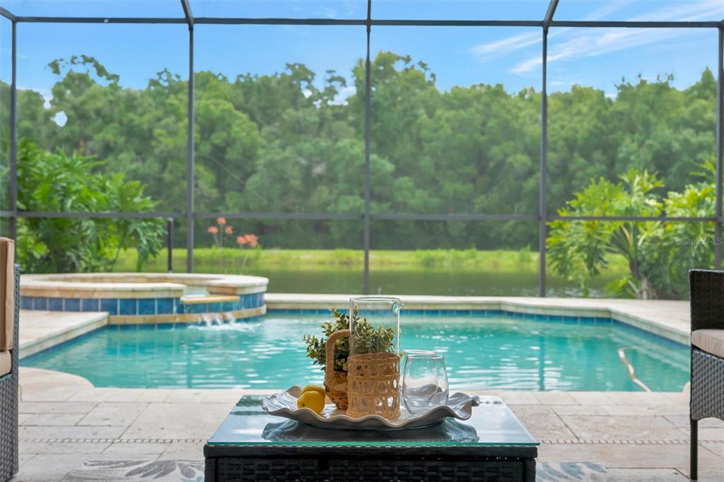 A patio with a glass-topped table overlooks a swimming pool, spa, and wooded lake view — 8523 PORTAGE AVENUE, TAMPA, FL