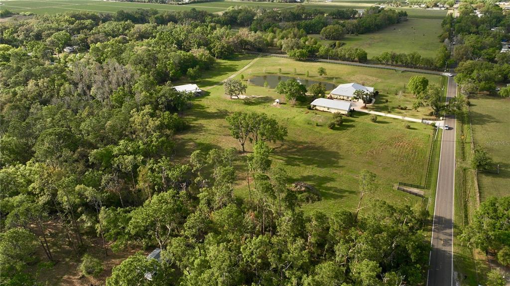 An aerial view of a rural property featuring a house, pond, and surrounding wooded land — 3709 GALLAGHER ROAD, PLANT CITY, FL