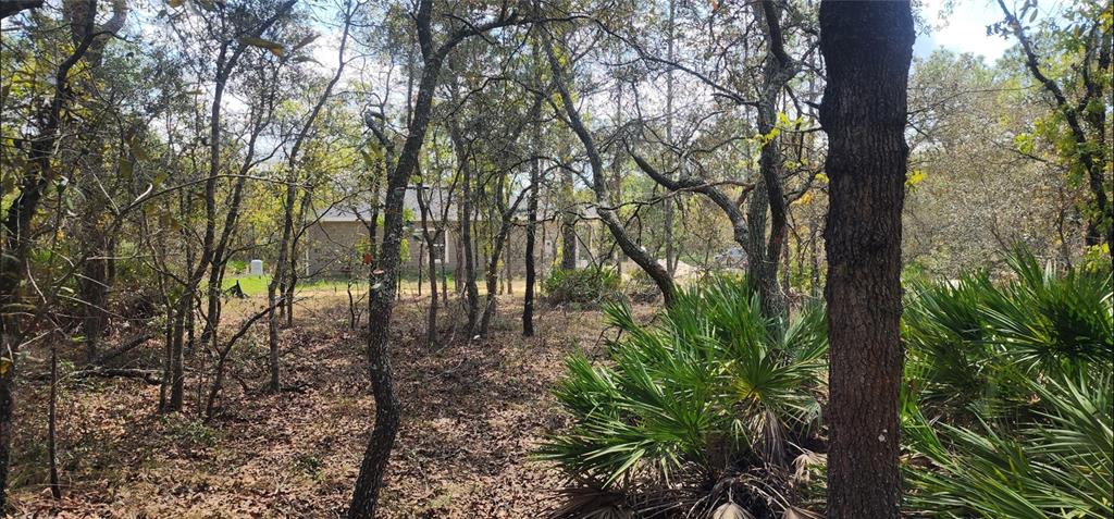 A house is visible through a wooded lot with trees and palmetto bushes — 18106 PARAKEET ROAD, BROOKSVILLE, FL
