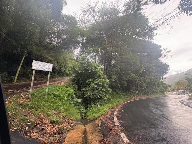 816 BO NUEVO, BAYAMON, PR — photo 2 of 3