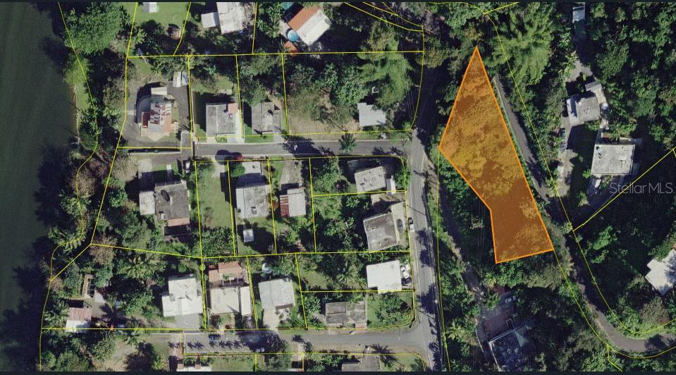 816 BO NUEVO, BAYAMON, PR — photo 3 of 3