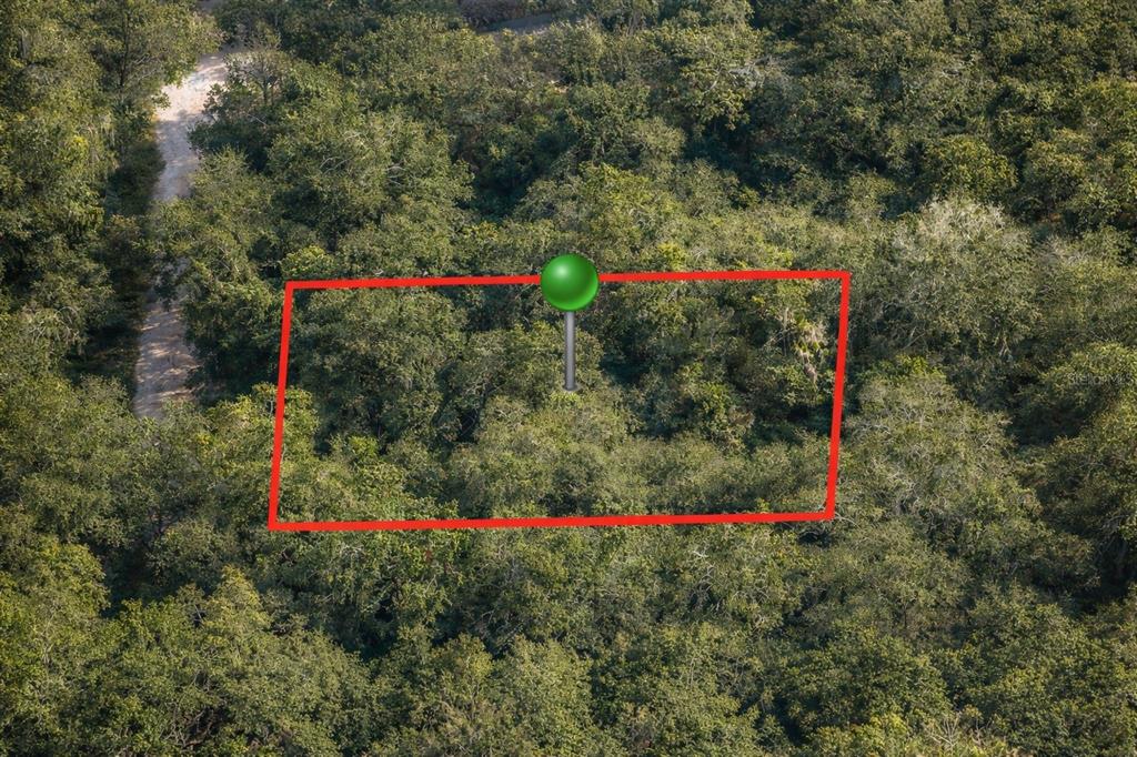 6619 N CANOPY TERRACE, HERNANDO, FL — photo 2 of 3