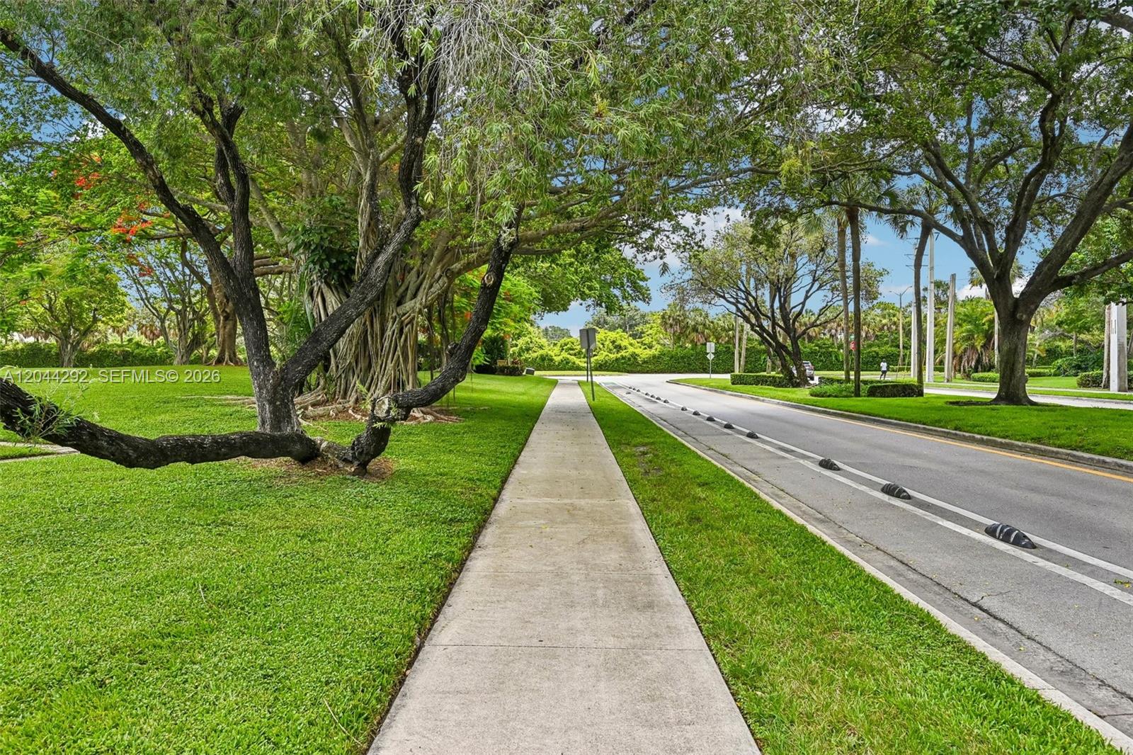A concrete sidewalk runs alongside a road lined with mature trees and green grass — 5016 50th Way, West Palm Beach FL 33409, WEST PALM BEACH, FL