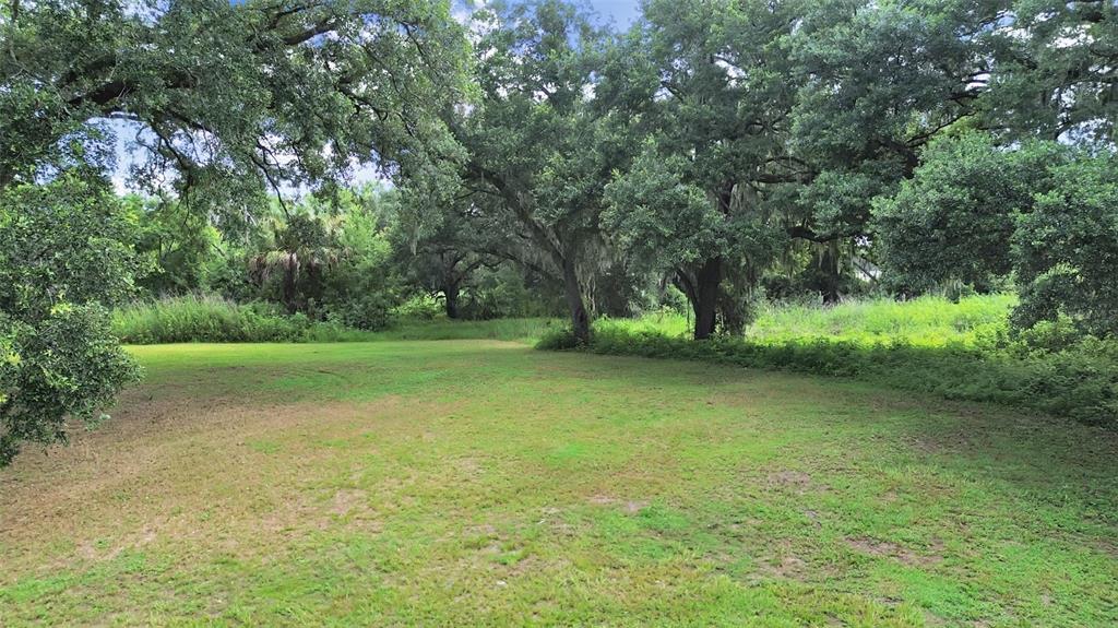 A grassy, open lot is surrounded by large, mature oak trees with Spanish moss — 1729 FATS LANE, SEFFNER, FL