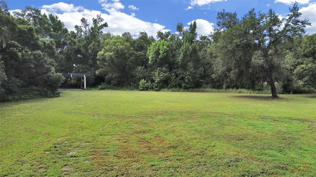 A large, grassy lot is bordered by dense trees with a small structure in back — 1729 FATS LANE, SEFFNER, FL