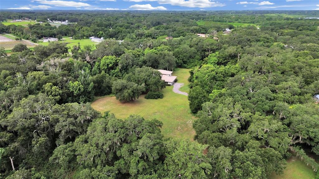 An aerial view shows a house nestled within a large, tree-filled rural property — 1729 FATS LANE, SEFFNER, FL