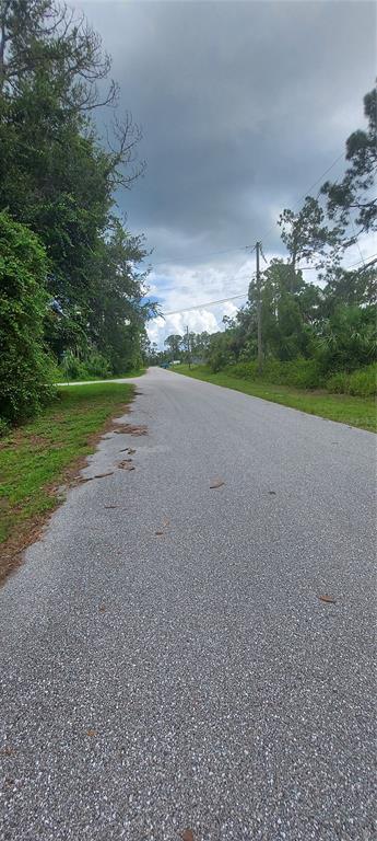 A paved road stretches into the distance, flanked by dense trees and grassy shoulders — GOURMET ROAD, NORTH PORT, FL