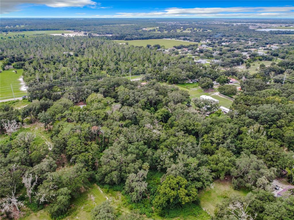 16206 BOYETTE ROAD, RIVERVIEW, FL — photo 4 of 16