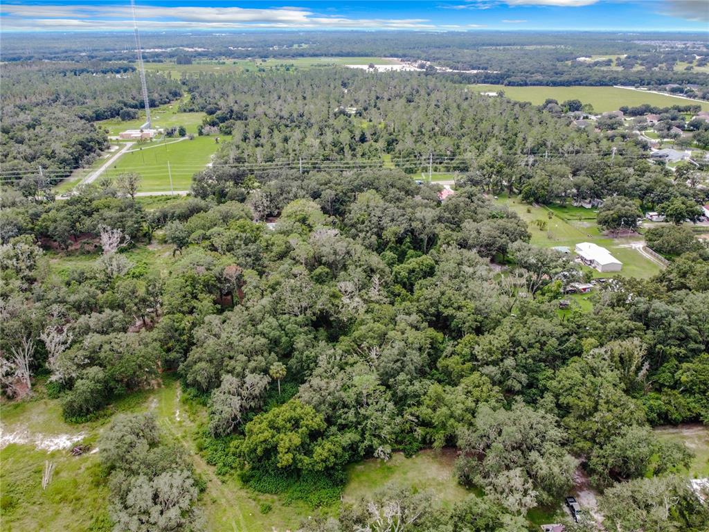 16206 BOYETTE ROAD, RIVERVIEW, FL — photo 5 of 16