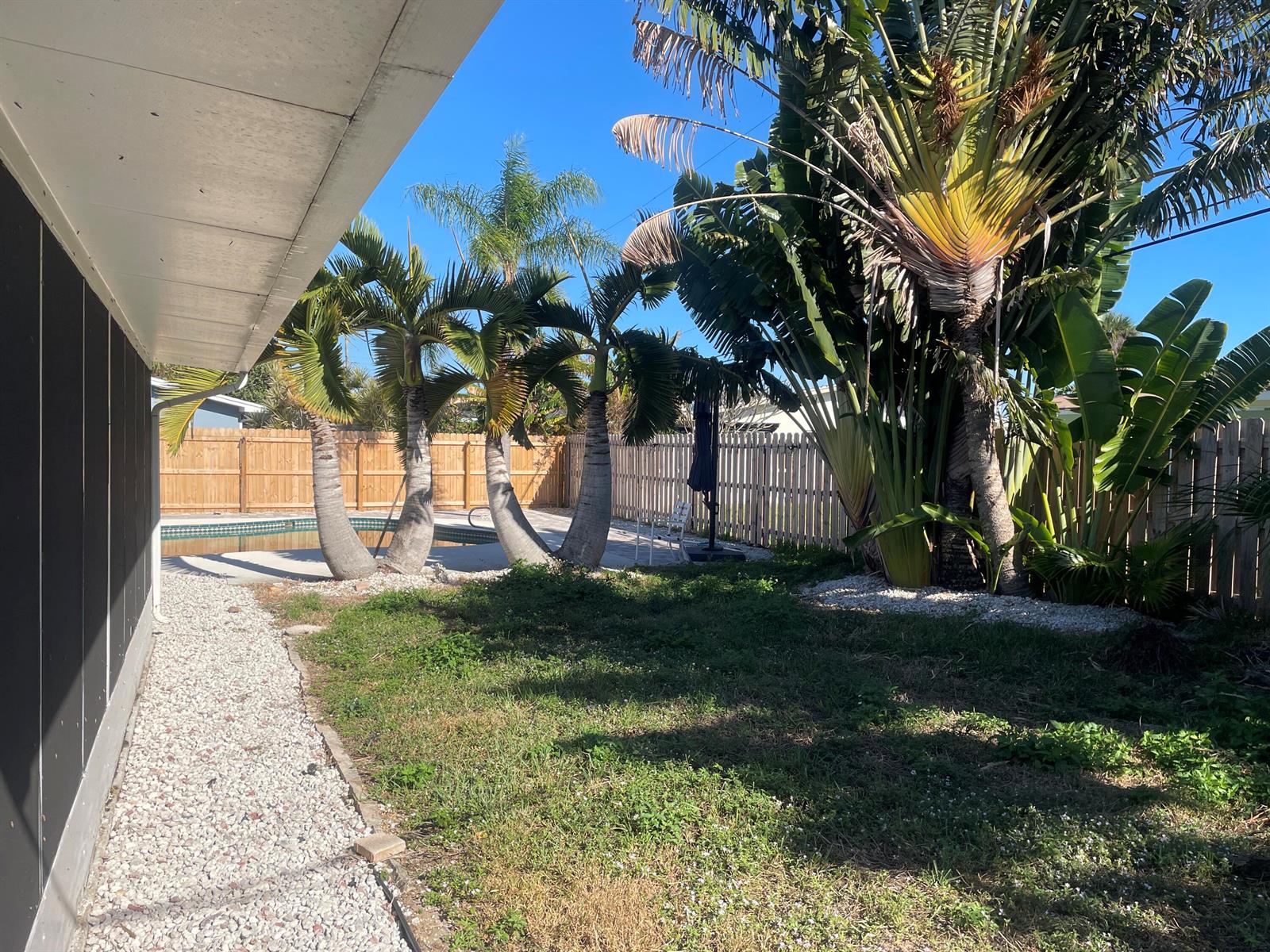 A backyard features a swimming pool, several palm trees, and a wooden fence — 104 Jupiter Court, Indialantic FL 32903, INDIALANTIC, FL