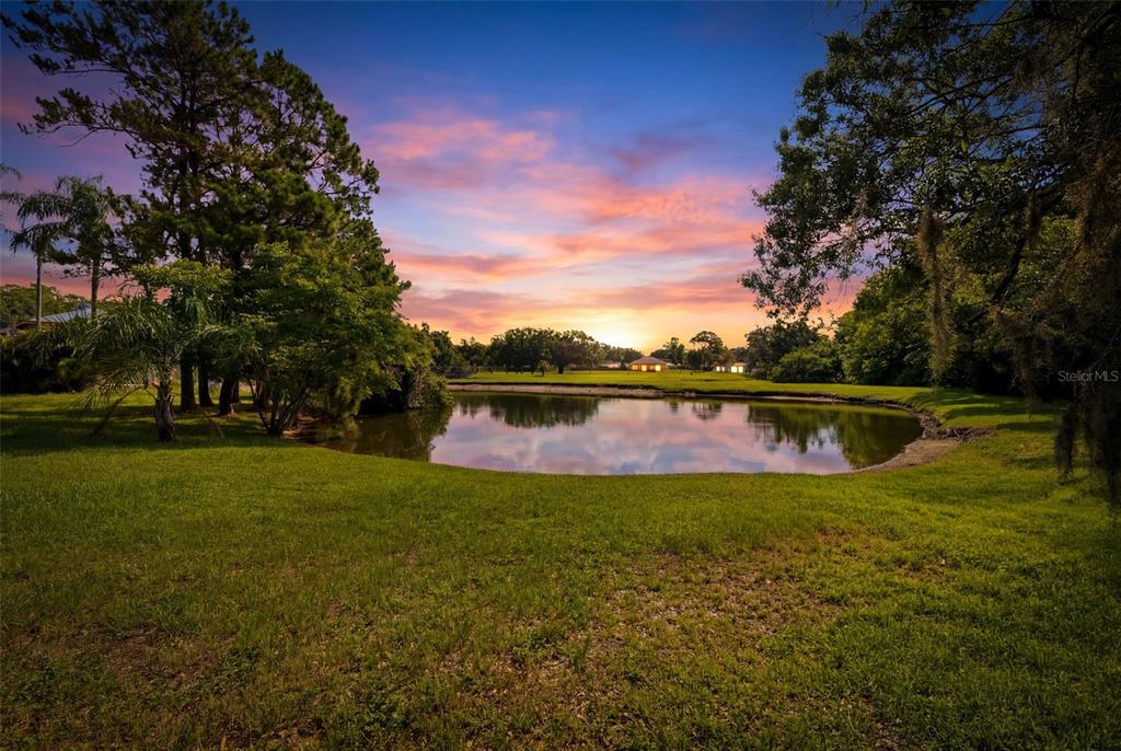 A grassy lawn overlooks a small pond at sunset with trees framing the scene — 14801 PERRIWINKLE PLACE, TAMPA, FL