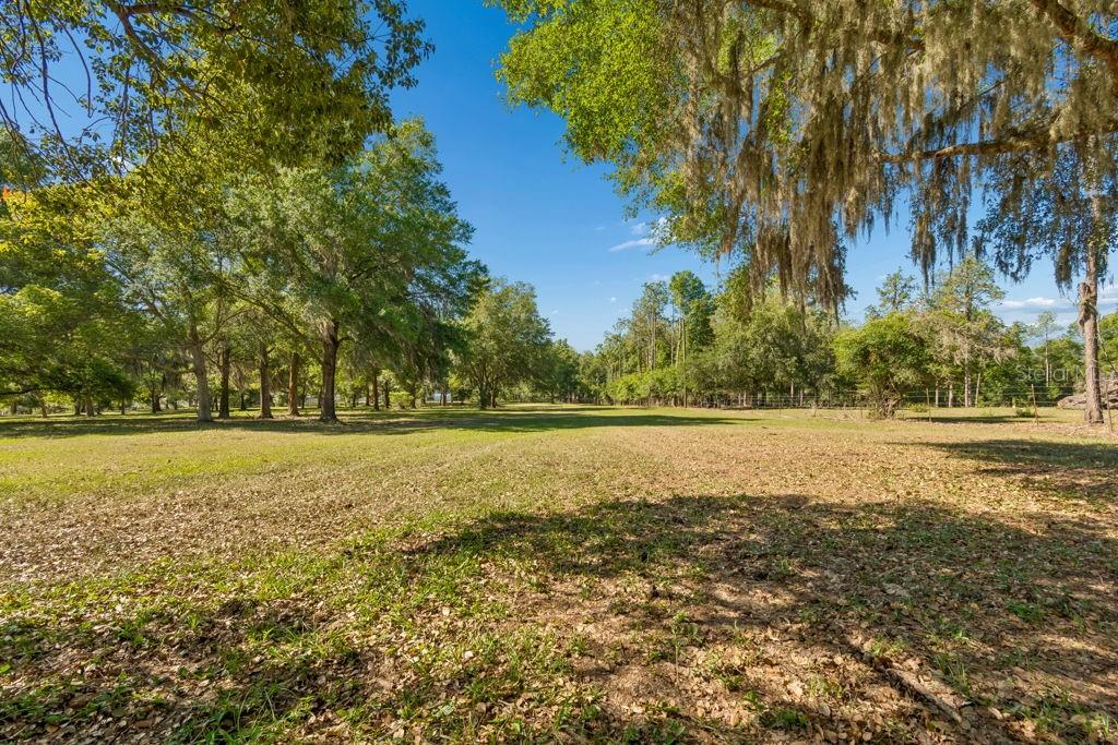 A large, grassy field is surrounded by mature trees with hanging Spanish moss — 31501 REED ROAD, DADE CITY, FL