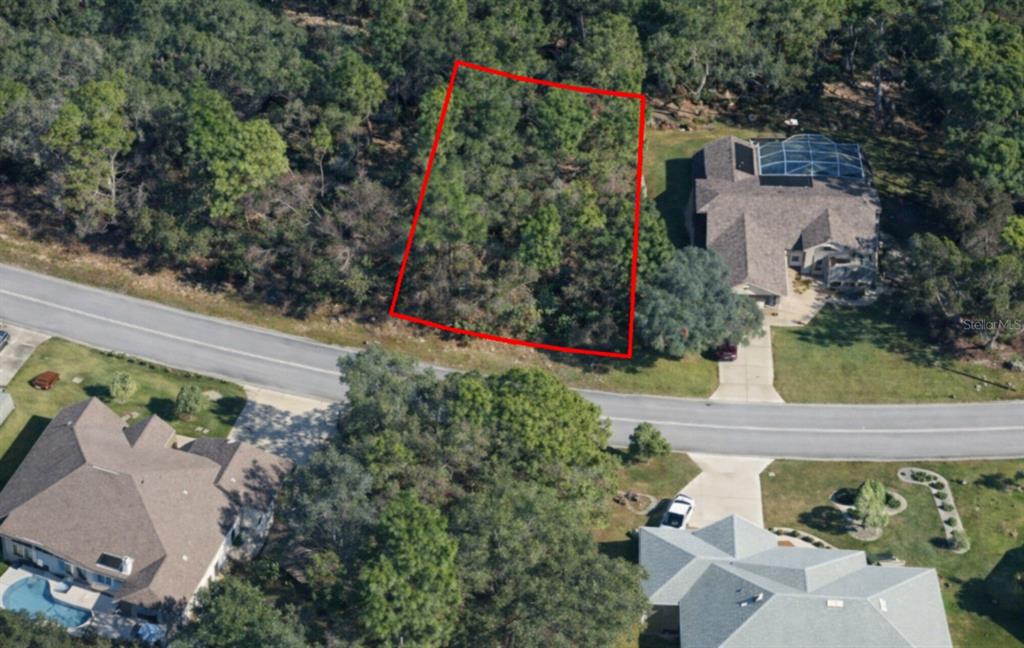 An aerial view shows a vacant, wooded residential lot outlined in red next to houses — 17 SPECEBERRY CIRCLE, HOMOSASSA, FL