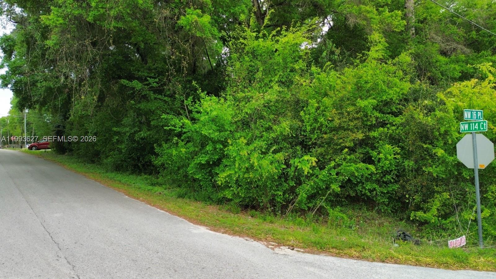 A paved road runs alongside a densely wooded, undeveloped lot with a street sign — NW 114 ct, Ocala FL 34421, OCALA, FL