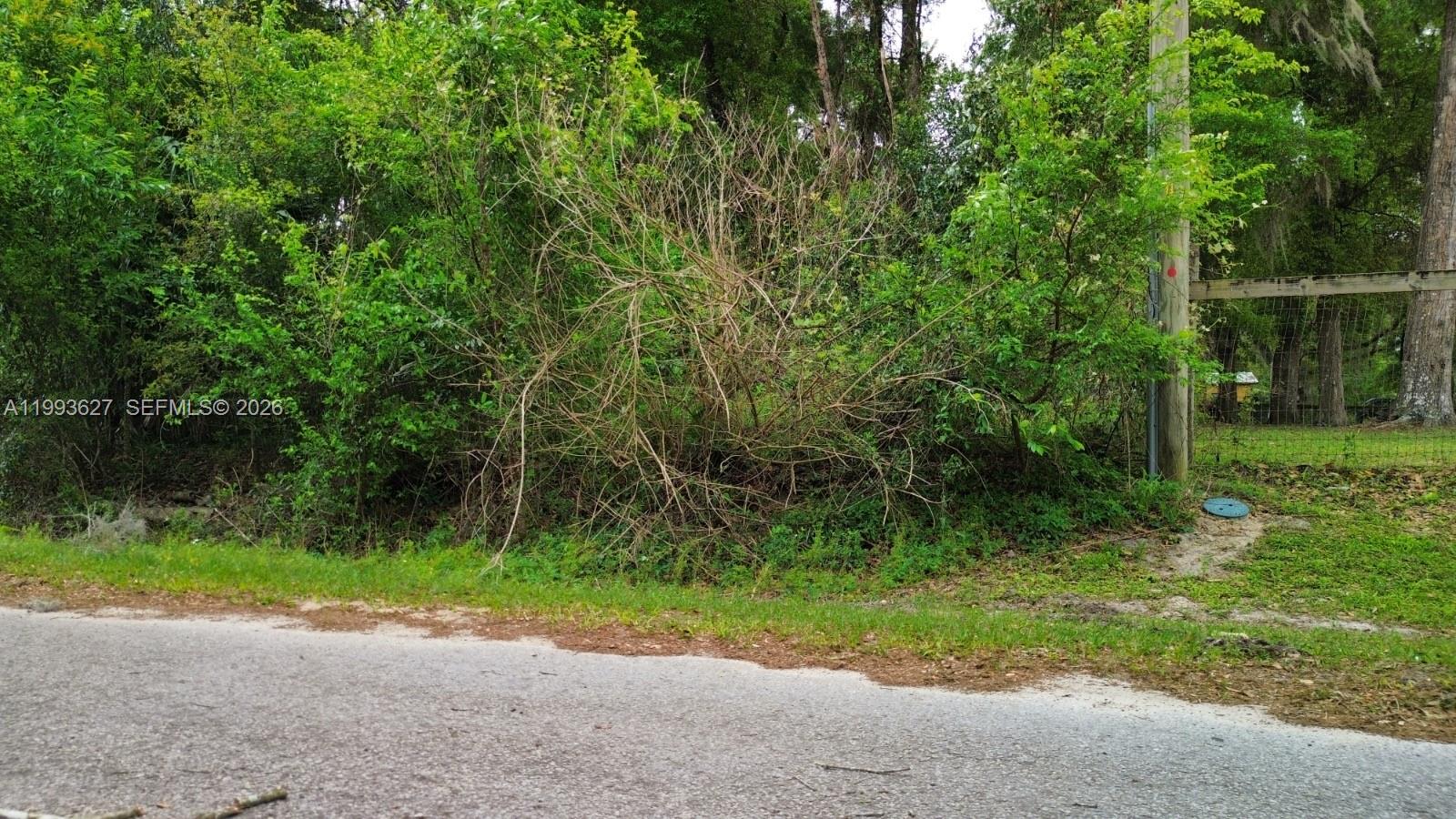 A view of a roadside lot covered in dense brush and trees — NW 114 ct, Ocala FL 34421, OCALA, FL