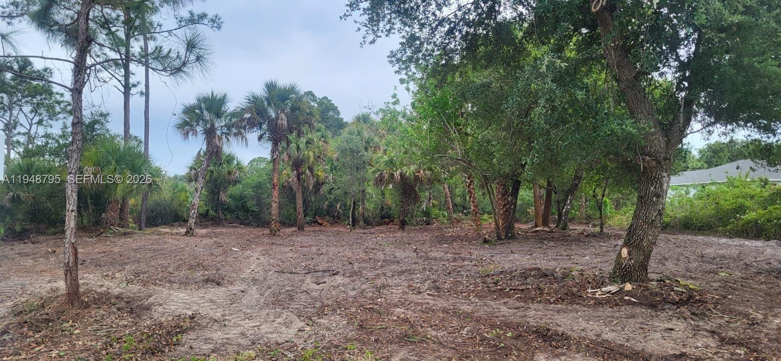 A cleared, sandy lot features scattered palm trees and mature oaks under a cloudy sky — 315 Ivanhoe Ave, La Belle FL 33935, LA BELLE, FL