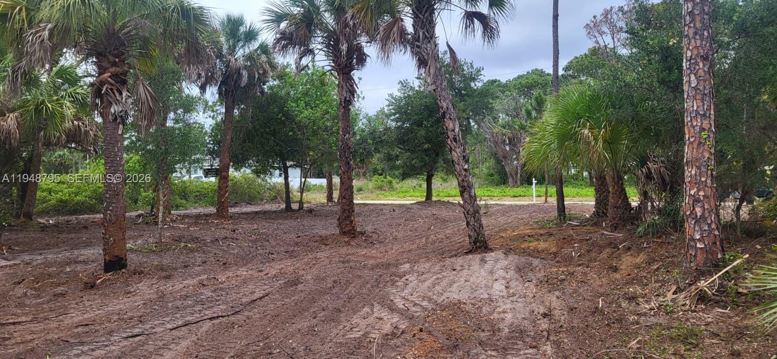 A cleared, wooded lot with several palm trees and sandy soil — 315 Ivanhoe Ave, La Belle FL 33935, LA BELLE, FL