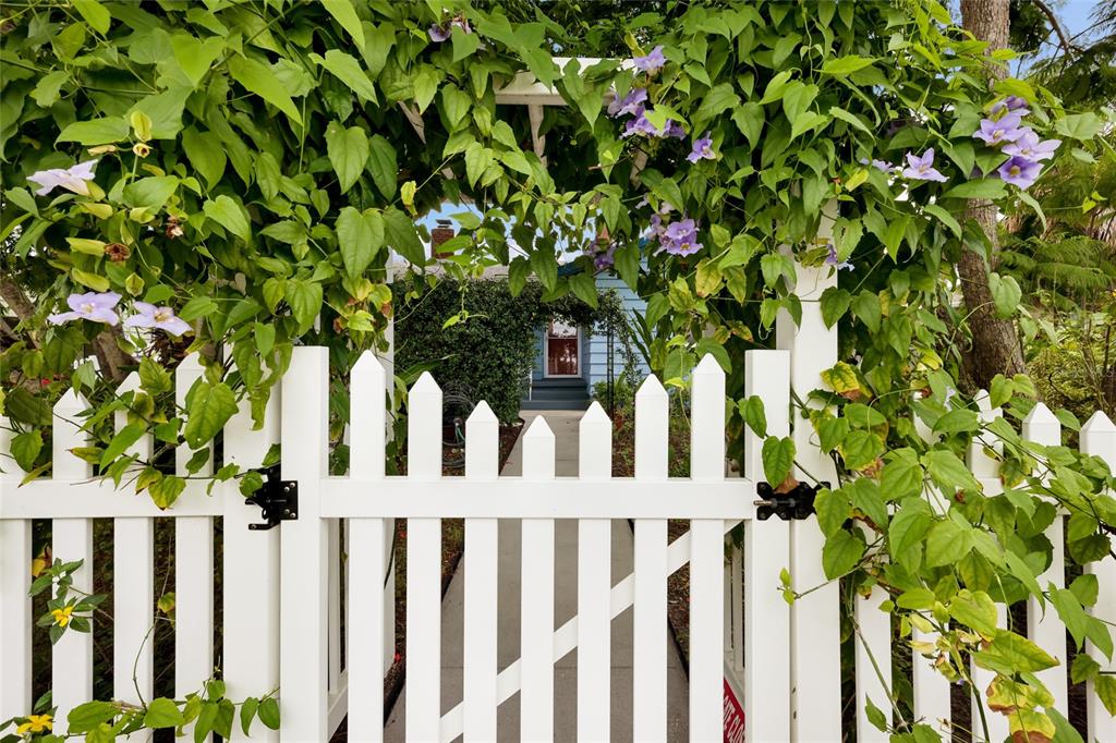 A white picket fence with a gate is covered in climbing vines with purple flowers — 2070 HYDE PARK STREET, SARASOTA, FL