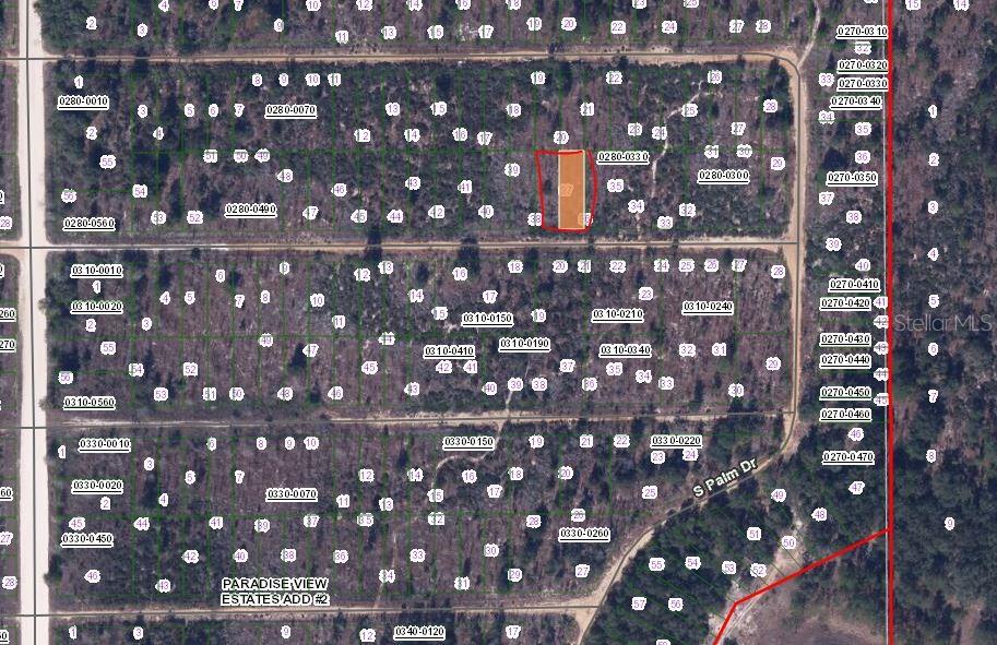 BIRCH STREET, INTERLACHEN, FL — photo 2 of 3