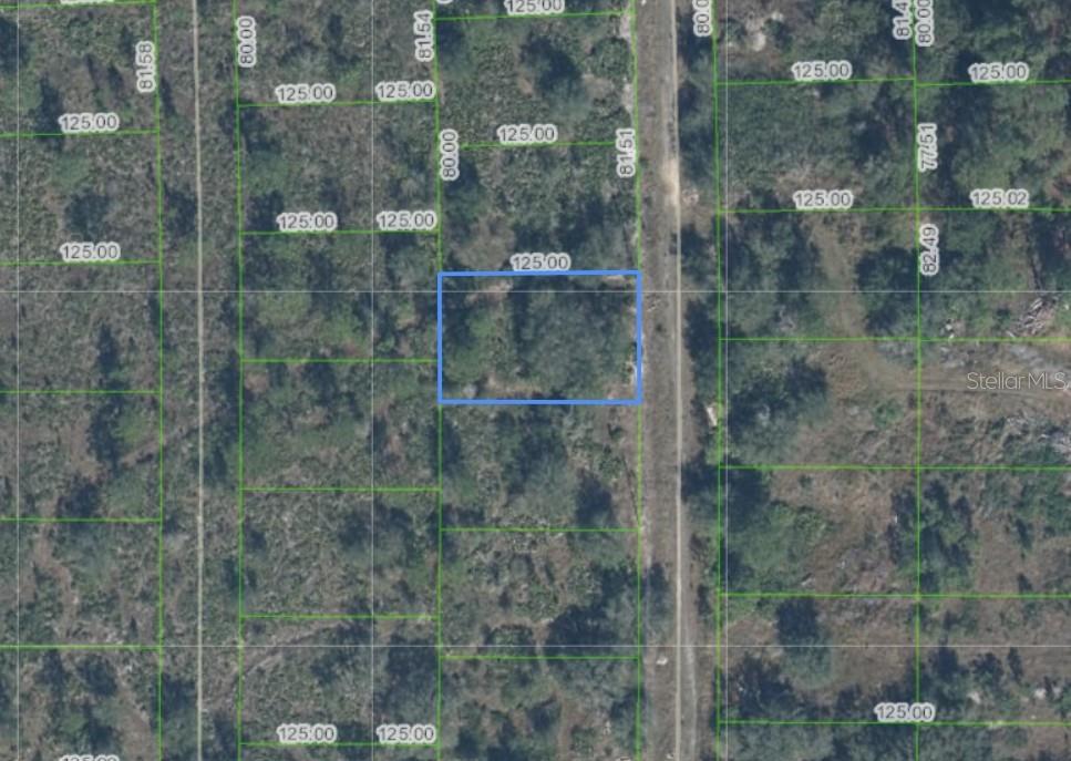 An aerial map view shows a rectangular plot of land outlined in blue — 4021 PALERMO AVENUE, SEBRING, FL